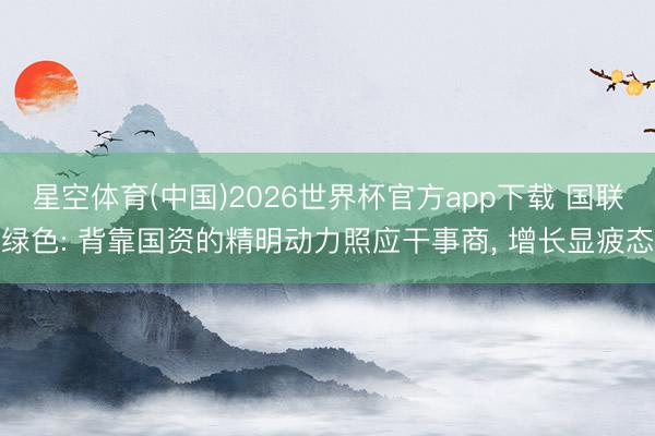 星空体育(中国)2026世界杯官方app下载 国联绿色: 背靠国资的精明动力照应干事商, 增长显疲态