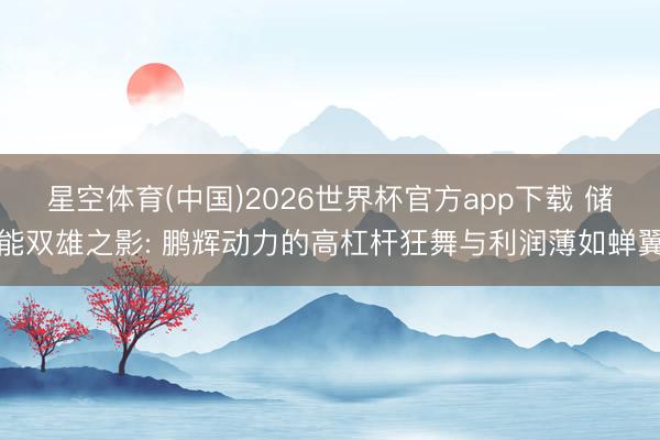 星空体育(中国)2026世界杯官方app下载 储能双雄之影: 鹏辉动力的高杠杆狂舞与利润薄如蝉翼