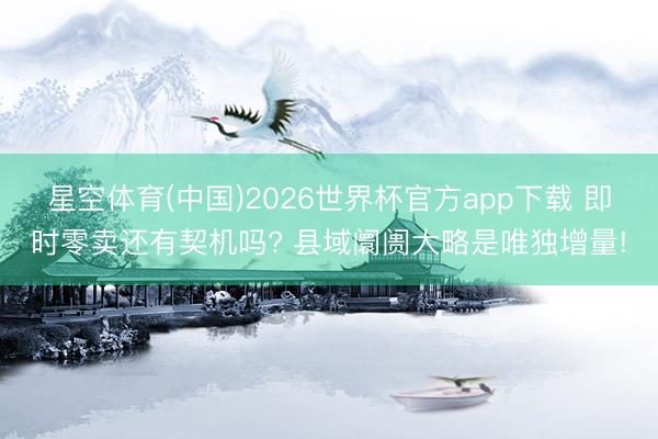 星空体育(中国)2026世界杯官方app下载 即时零卖还有契机吗? 县域阛阓大略是唯独增量!
