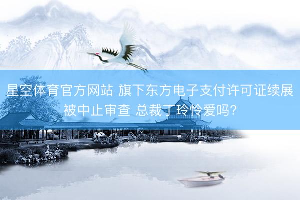星空体育官方网站 旗下东方电子支付许可证续展被中止审查 总裁丁玲怜爱吗?