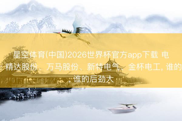 星空体育(中国)2026世界杯官方app下载 电网成就: 精达股份、万马股份、新特电气、金杯电工, 谁的后劲大