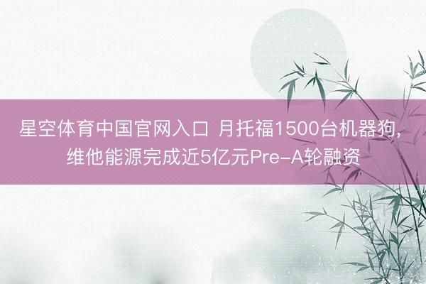 星空体育中国官网入口 月托福1500台机器狗, 维他能源完成近5亿元Pre-A轮融资