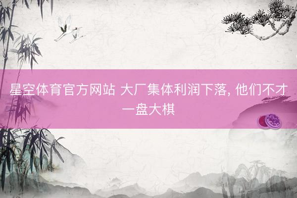 星空体育官方网站 大厂集体利润下落, 他们不才一盘大棋