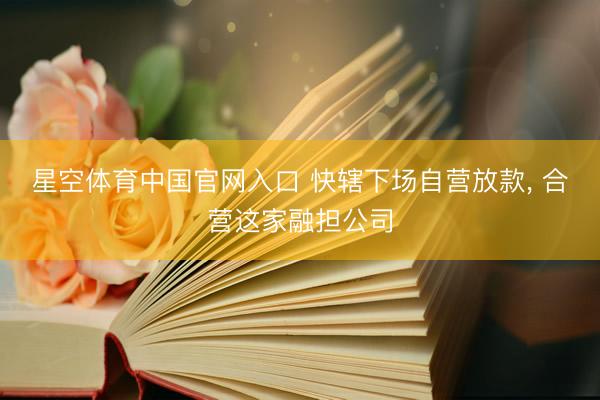 星空体育中国官网入口 快辖下场自营放款， 合营这家融担公司