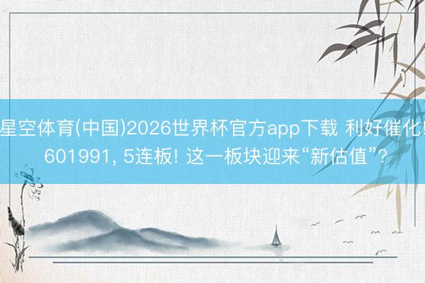 星空体育(中国)2026世界杯官方app下载 利好催化! 601991, 5连板! 这一板块迎来“新估值”?