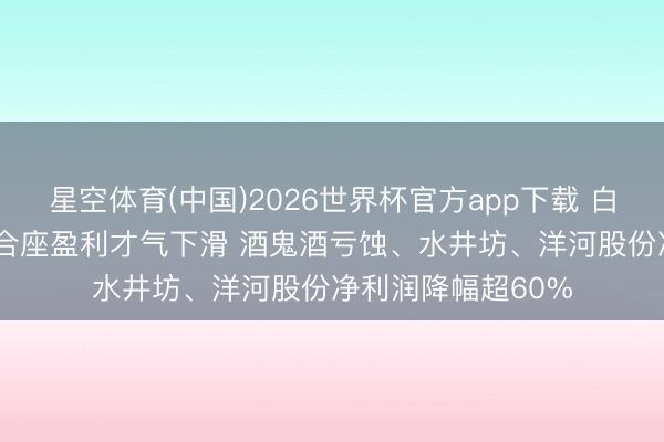 星空体育(中国)2026世界杯官方app下载 白酒年报| 白酒行业合座盈利才气下滑 酒鬼酒亏蚀、水井坊、洋河股份净利润降幅超60%