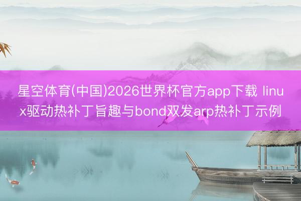 星空体育(中国)2026世界杯官方app下载 linux驱动热补丁旨趣与bond双发arp热补丁示例