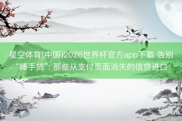 星空体育(中国)2026世界杯官方app下载 告别“唾手贷”: 那些从支付页面消失的信贷进口
