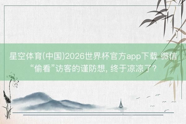 星空体育(中国)2026世界杯官方app下载 微信“偷看”访客的谨防想, 终于凉凉了?