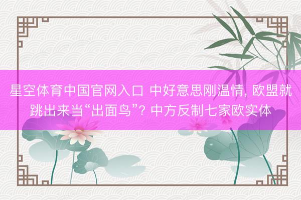 星空体育中国官网入口 中好意思刚温情, 欧盟就跳出来当“出面鸟”? 中方反制七家欧实体