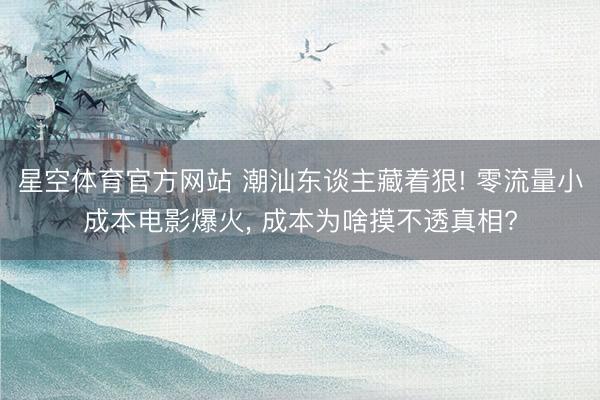 星空体育官方网站 潮汕东谈主藏着狠! 零流量小成本电影爆火, 成本为啥摸不透真相?