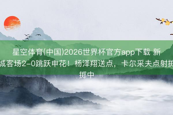 星空体育(中国)2026世界杯官方app下载 新鹏城客场2-0跳跃申花！杨泽翔送点，卡尔采夫点射掷中