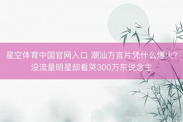 星空体育中国官网入口 潮汕方言片凭什么爆火?没流量明星却看哭300万东说念主