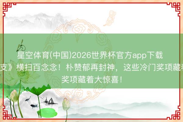 星空体育(中国)2026世界杯官方app下载 《独力难支》横扫百念念!朴赞郁再封神,这些冷门奖项藏着大惊喜!