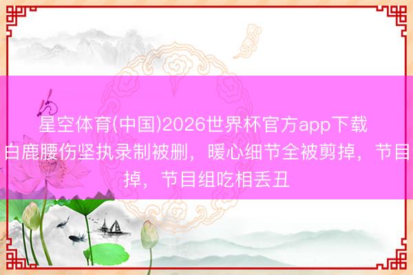 星空体育(中国)2026世界杯官方app下载 编著翻车!白鹿腰伤坚执录制被删,暖心细节全被剪掉,节目组吃相丢丑