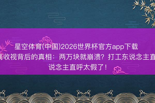星空体育(中国)2026世界杯官方app下载 《迷墙》高收视背后的真相:两万块就崩溃?打工东说念主直呼太假了!