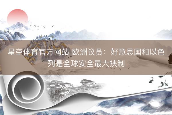 星空体育官方网站 欧洲议员：好意思国和以色列是全球安全最大挟制