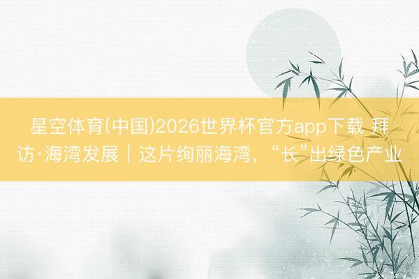 星空体育(中国)2026世界杯官方app下载 拜访·海湾发展|这片绚丽海湾,“长”出绿色产业