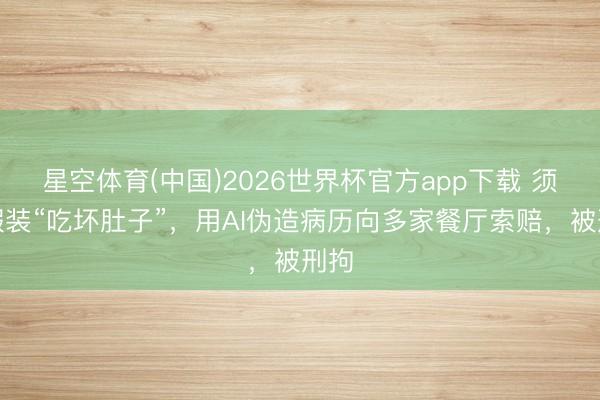 星空体育(中国)2026世界杯官方app下载 须眉假装“吃坏肚子”,用AI伪造病历向多家餐厅索赔,被刑拘