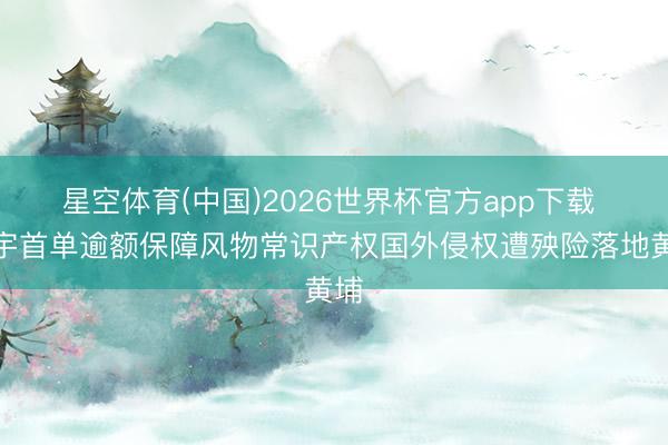 星空体育(中国)2026世界杯官方app下载 寰宇首单逾额保障风物常识产权国外侵权遭殃险落地黄埔